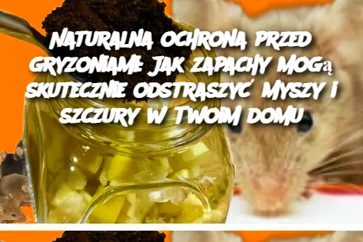 Naturalna ochrona przed gryzoniami: Jak zapachy mogą skutecznie odstraszyć myszy i szczury w Twoim domu