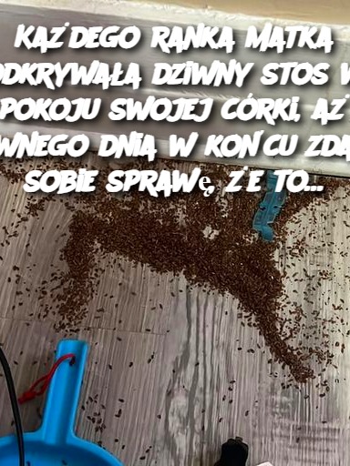 Każdego ranka matka odkrywała dziwny stos w pokoju swojej córki, aż pewnego dnia w końcu zdała sobie sprawę, że to…