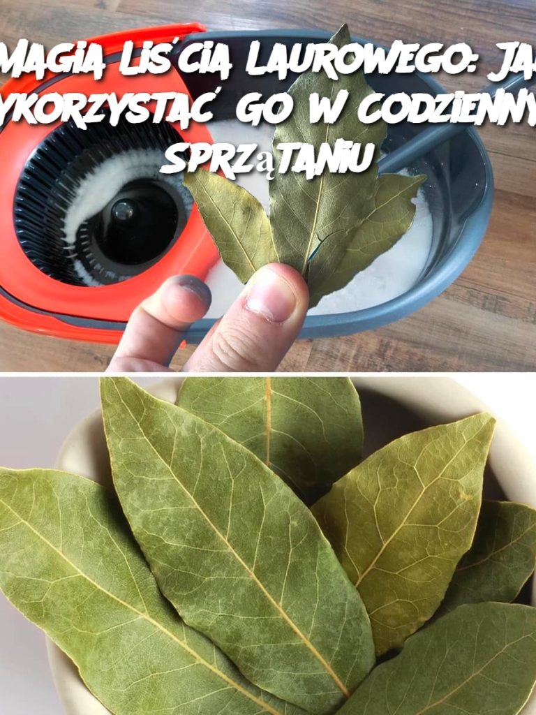 Magia Liścia Laurowego: Jak Wykorzystać Go w Codziennym Sprzątaniu