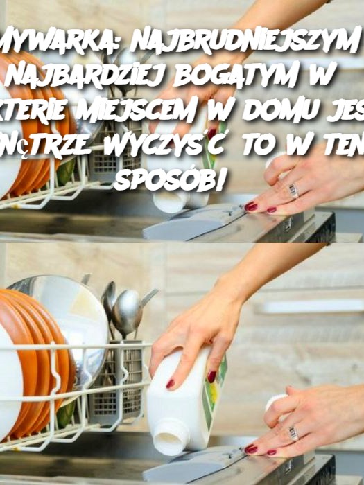 Zmywarka: najbrudniejszym i najbardziej bogatym w bakterie miejscem w domu jest wnętrze. Wyczyść to w ten sposób!