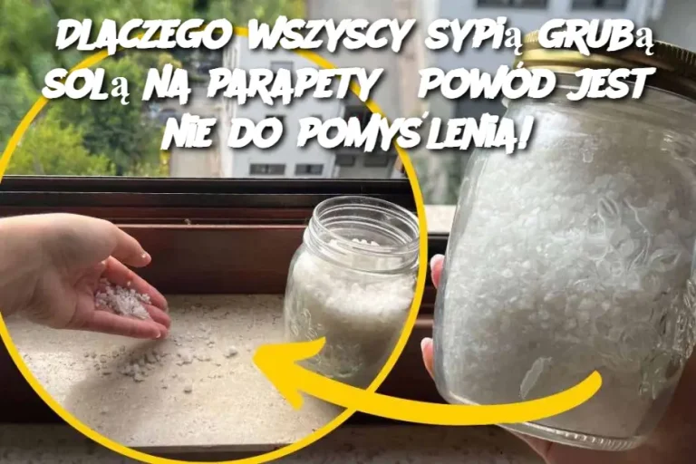 Dlaczego wszyscy sypią grubą solą na parapety? Powód jest nie do pomyślenia!