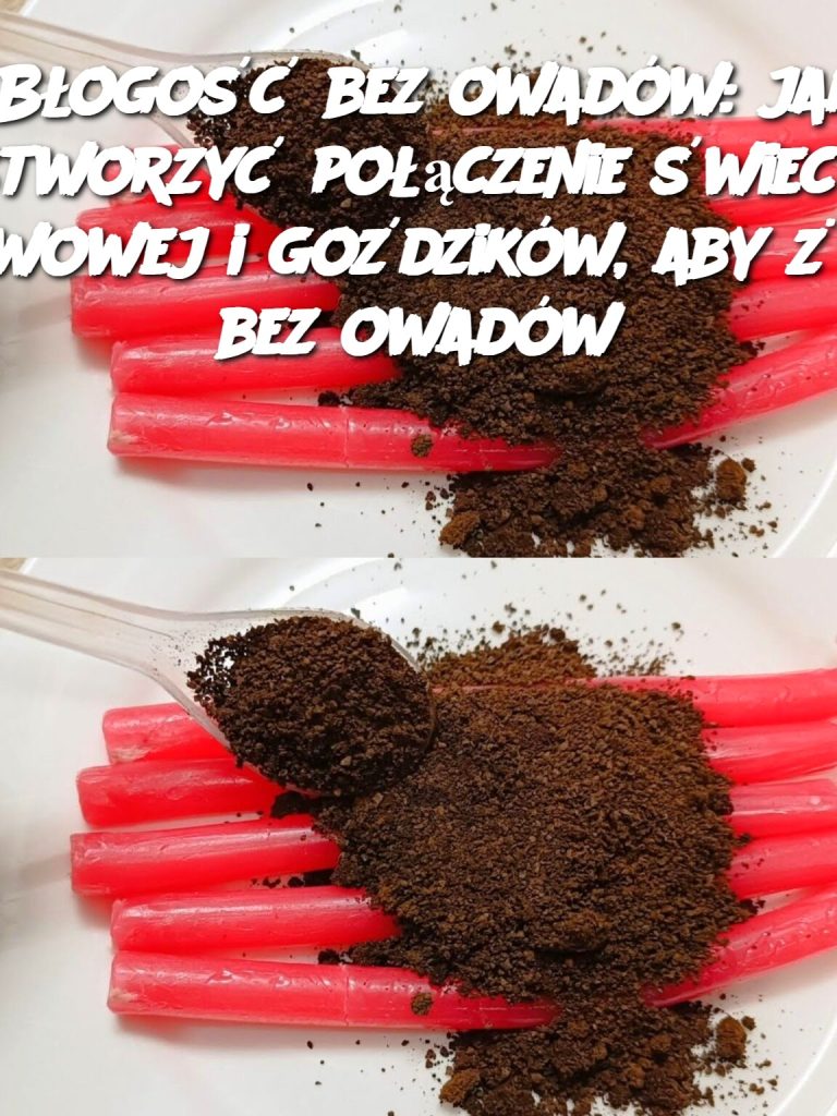 Błogość bez owadów: jak stworzyć połączenie świecy kawowej i goździków, aby żyć bez owadów