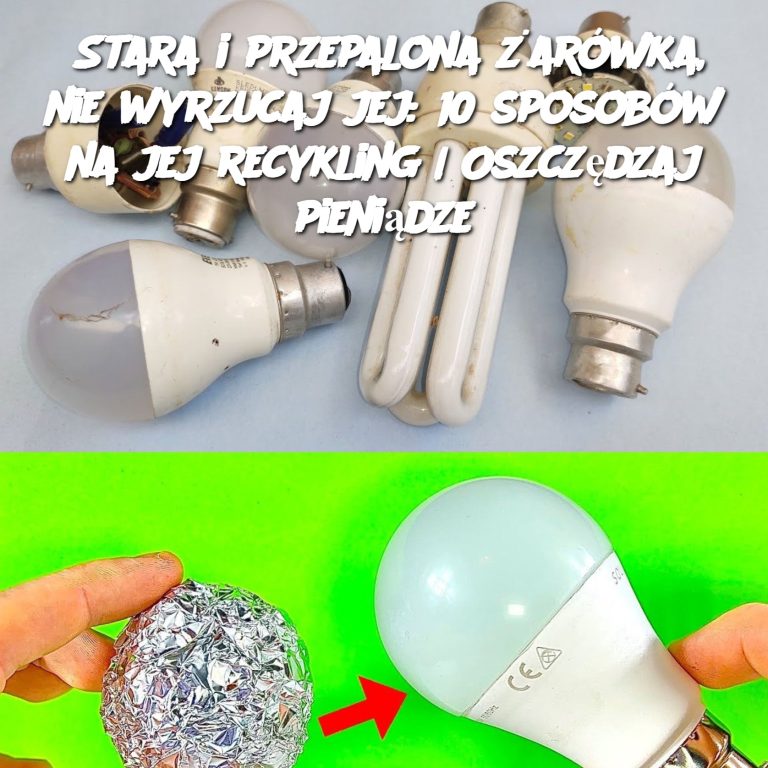 Stara i przepalona żarówka, nie wyrzucaj jej: 10 sposobów na jej recykling | Oszczędzaj pieniądze