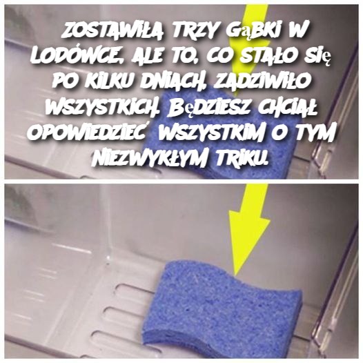 Zostawiła trzy gąbki w LODÓWCE, ale to, co stało się po kilku dniach, zadziwiło wszystkich. Będziesz chciał opowiedzieć wszystkim o tym niezwykłym triku.