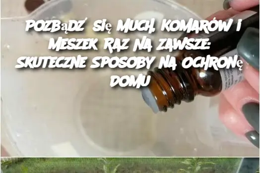 Pozbądź się Much, Komarów i Meszek Raz Na Zawsze: Skuteczne Sposoby na Ochronę Domu