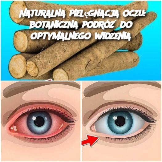 Naturalna pielęgnacja oczu: botaniczna podróż do optymalnego widzenia