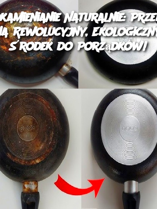 Odkamienianie Naturalnie: Przepis na Rewolucyjny, Ekologiczny Środek do Porządków!