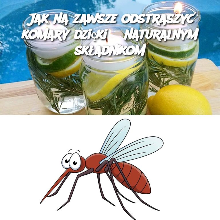 Jak na zawsze odstraszyć komary dzięki 3 naturalnym składnikom