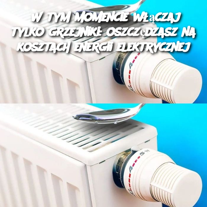 W tym momencie włączaj tylko grzejniki: oszczędzasz na kosztach energii elektrycznej