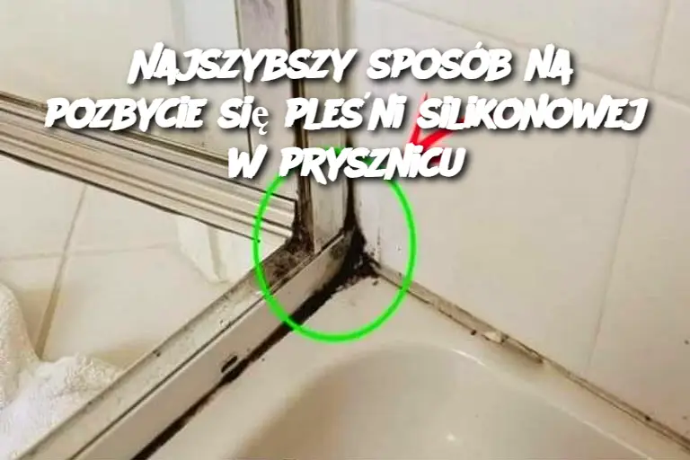 Najszybszy sposób na pozbycie się pleśni silikonowej w prysznicu