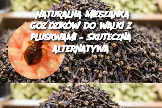 Naturalna mieszanka goździków do walki z pluskwami – Skuteczna alternatywa