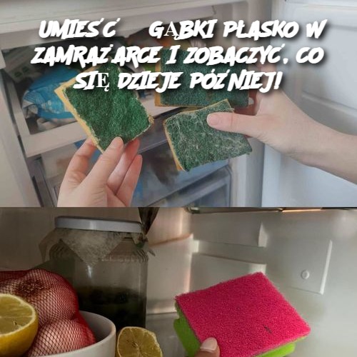 UMIEŚĆ 3 GĄBKI PŁASKO W ZAMRAŻARCE I ZOBACZYĆ, CO SIĘ DZIEJE PÓŹNIEJ!