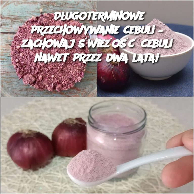 Długoterminowe przechowywanie cebuli – zachowaj świeżość cebuli nawet przez dwa lata!