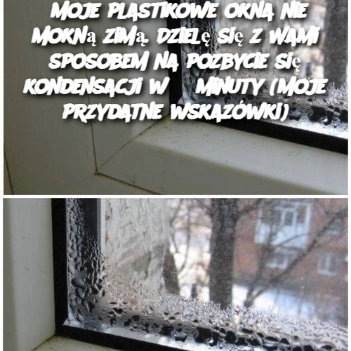 Moje plastikowe okna nie mokną zimą. Dzielę się z Wami sposobem na pozbycie się kondensacji w 3 minuty (moje przydatne wskazówki)