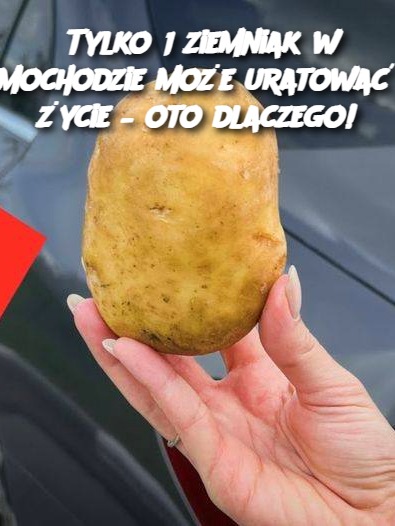 Tylko 1 ziemniak w samochodzie może uratować Ci życie – oto dlaczego!