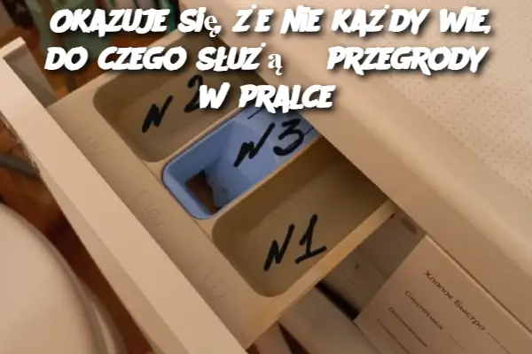 Okazuje się, że nie każdy wie, do czego służą 3 przegrody w pralce