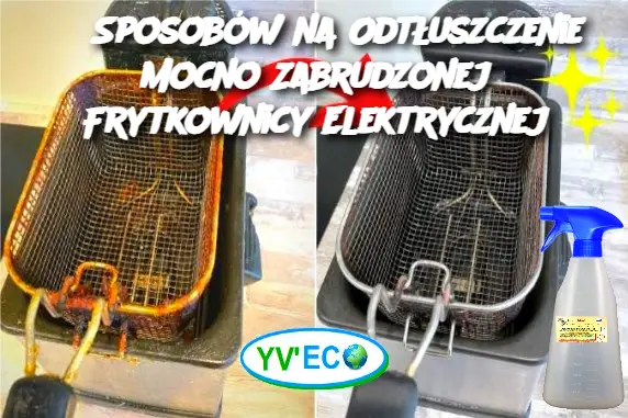 6 Sposobów na Odtłuszczenie Mocno Zabrudzonej Frytkownicy Elektrycznej