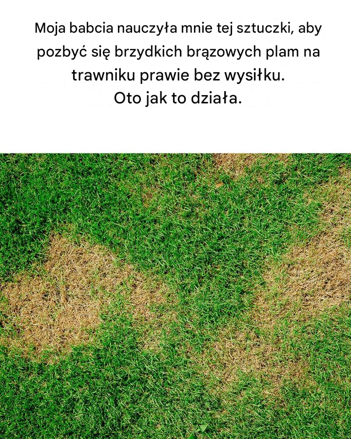 Jak mogłem o tym nie wiedzieć? Dowiedziałem się czegoś nowego!