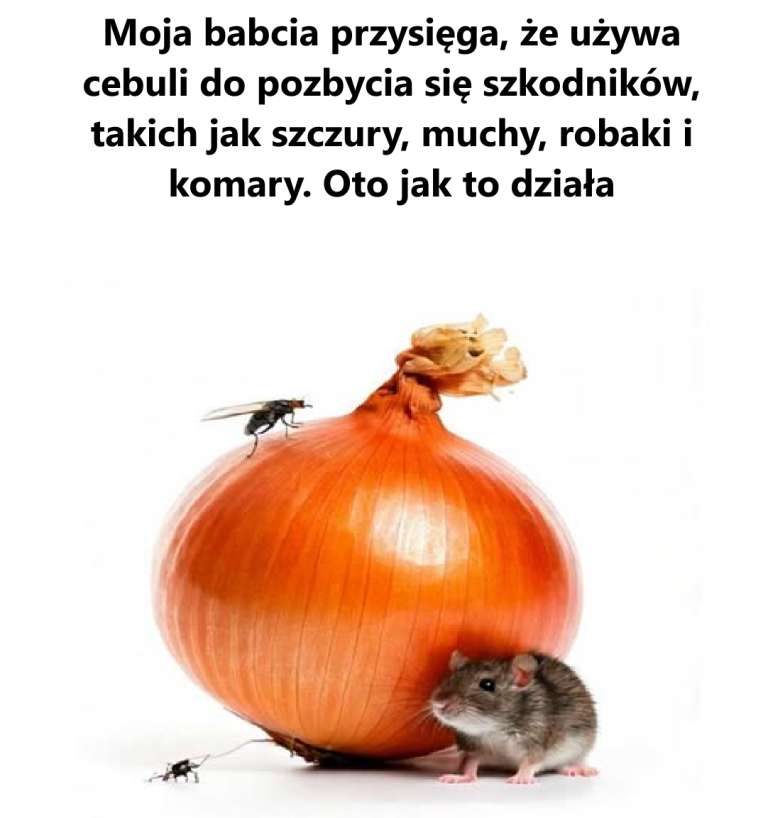 Ona przysięga na to