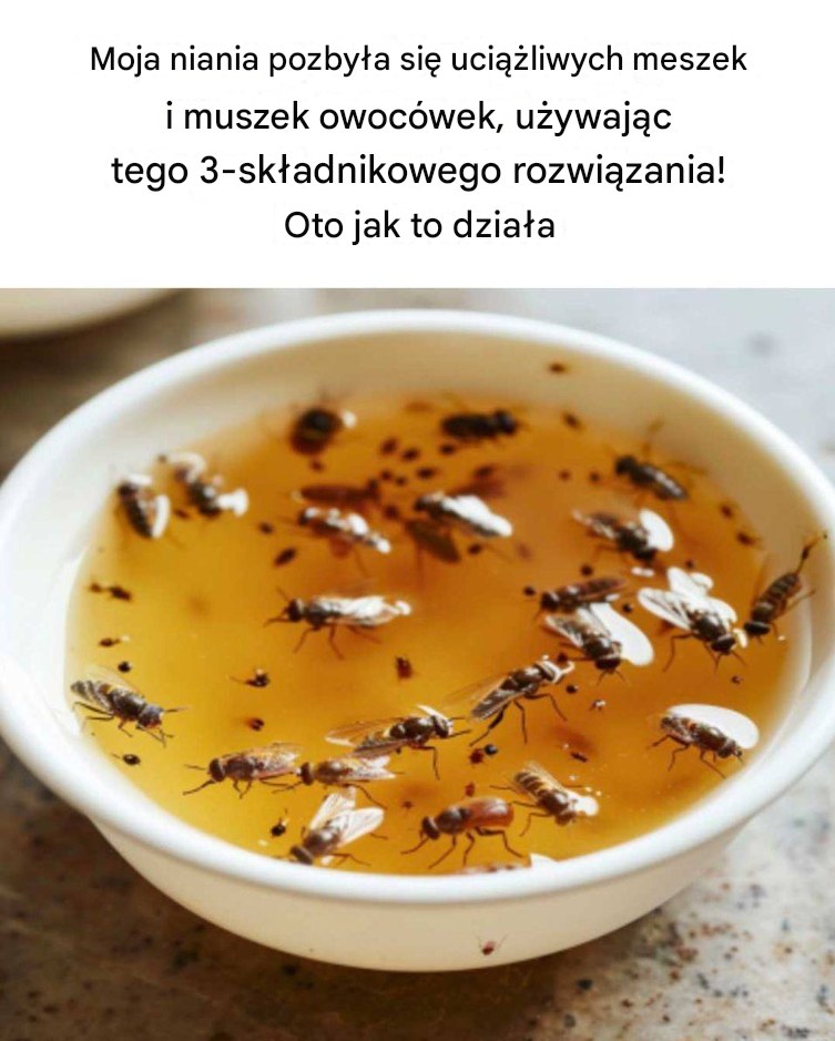 Moja niania pozbyła się uciążliwych meszek i muszek owocówek, używając tego 3-składnikowego rozwiązania! Oto jak to działa