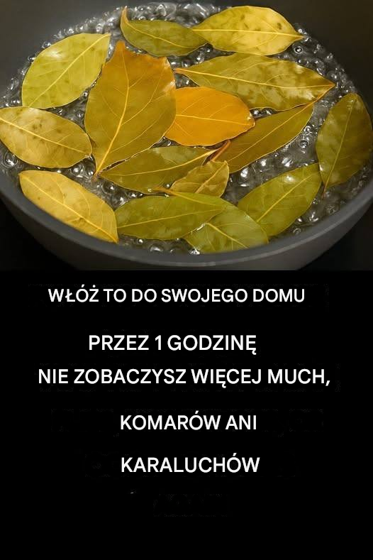 Pożegnaj się z muchami, komarami i karaluchami gotując te liście PO