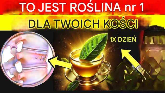 STOSUJ 1X KAŻDEJ NOCY, ABY WZMOCNIĆ KOŚCI I ZDROWE STAWY: Uśmierza BÓL i zwalcza osteoporozę